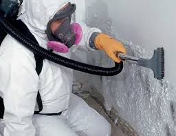 Mold Removal for HVAC Installations in Nappanee, IN